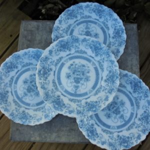 Assiettes ARCOPAL France
