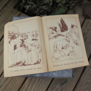 Belles Images 1951