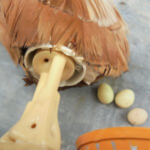 Poule pondeuse