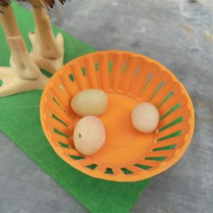Poule pondeuse