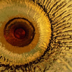6 verres à pied ambre